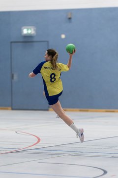 Bild 279 - F HSG Pinnau2 - Rellinger TV2 : Ergebnis: 27:20